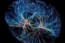 Neuroplasticidade e terapia espelhada